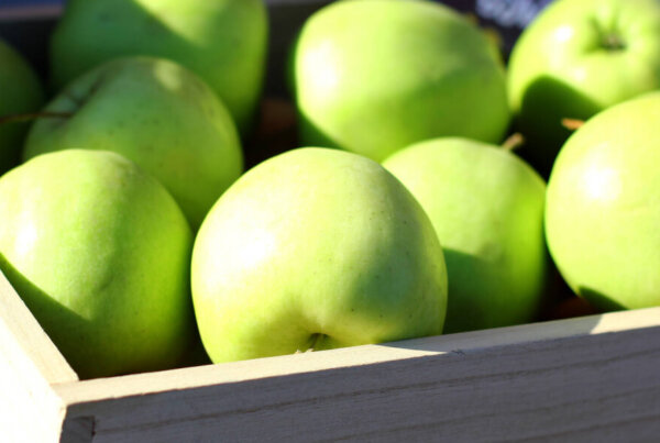 деревянные ящики для яблок